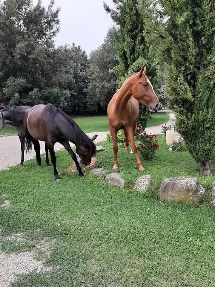 Agriturismo Frantoio Valiani Cortona